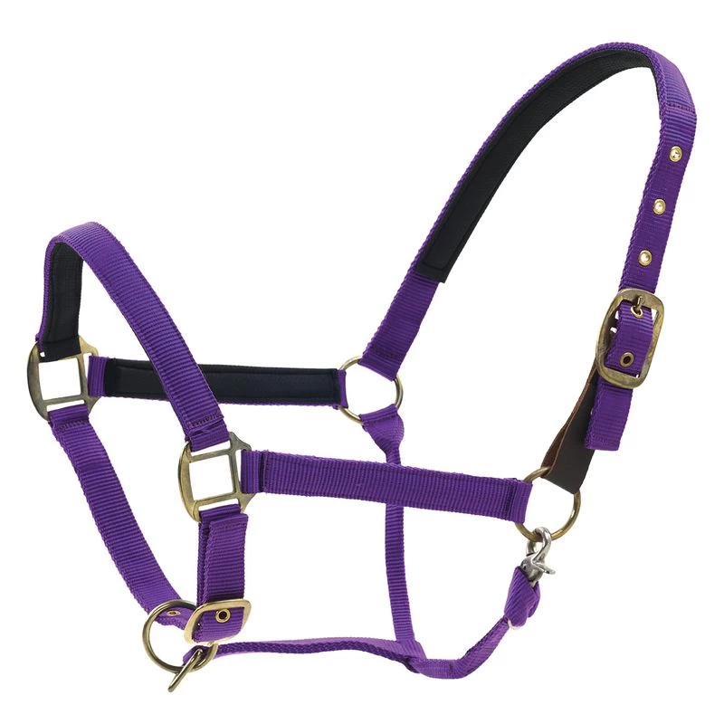Centaur Super Comfort Halter - Purple 3 Centaur Super Comfort Halter - Purple