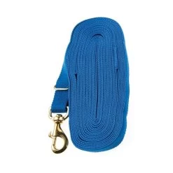 Kincade Lunge Line - Blue