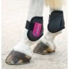 Shires ARMA Fetlock Boots - Black/Raspberry 1 Shires ARMA Fetlock Boots - Black/Raspberry -Equestrian Supply Store 319563 800 800