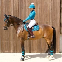 Equestrian Supply Store -Equestrian Supply Store 389051 800 800