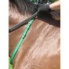 Nunn Finer Nylon Neck Grab Strap - Black -Equestrian Supply Store 402874 800 800