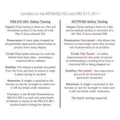 Champion Evolution Diamond Helmet - Black 9 Champion Evolution Diamond Helmet - Black -Equestrian Supply Store 408605 800 800