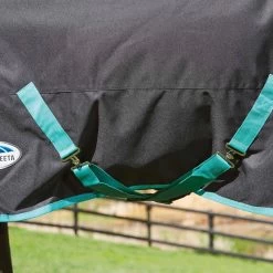 Weatherbeeta Green-Tec 900D Detach-A-Neck Medium Turnout Blanket - Black/Bottle Green -Equestrian Supply Store 413686 800 800