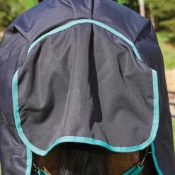 Weatherbeeta Green-Tec 900D Detach-A-Neck Medium Turnout Blanket - Black/Bottle Green -Equestrian Supply Store 413687 800 800