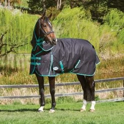 Weatherbeeta Green-Tec 900D Detach-A-Neck Medium Turnout Blanket - Black/Bottle Green -Equestrian Supply Store 413688 800 800