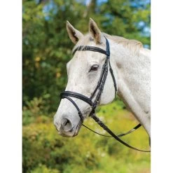 Shires Avignon Louisville Bridle - Black