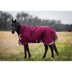 Rambo Wug Turnout 50g - Burgundy/Burgundy/Dusty Blue/Navy