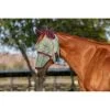 Kensington Signature Fly Mask W/Nose, Ears And Forelock Hole - Imperial Jade -Equestrian Supply Store 446455 800 800