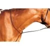 Kincade Flat Standing Martingale II - Brown -Equestrian Supply Store 451955 800 800