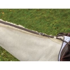 Shires Avignon Daisy Rein - Havana