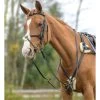 Shires Avignon Five Point Breastplate - Black 1 Shires Avignon Five Point Breastplate - Black -Equestrian Supply Store 471247 800 800
