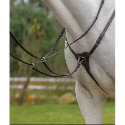 Shires Avignon Three Point Breastplate - Black