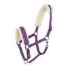 Horze Lunging Cavesson - Purple 1 Horze Lunging Cavesson - Purple -Equestrian Supply Store 479705 800 800