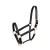Perri's 1" Leather Turnout Halter - Black 1 Perri's 1" Leather Turnout Halter - Black -Equestrian Supply Store 504173 800 800