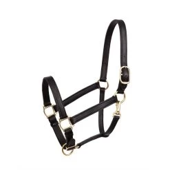 Perri's 1" Leather Turnout Halter - Black