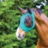 Weatherbeeta Deluxe Stretch Bug Eye Saver W/Ears - Hunter/Black 1 Weatherbeeta Deluxe Stretch Bug Eye Saver W/Ears - Hunter/Black -Equestrian Supply Store 535217 800 800