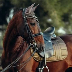 B Vertigo Drew Ear Net - Cub Brown -Equestrian Supply Store 545025 800 800