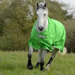 Bucas Freedom Light Turnout - Apple