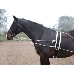 Shires Lunging Aid - Black -Equestrian Supply Store 553778 800 800