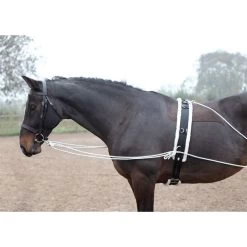 Shires Lunging Aid - Black -Equestrian Supply Store 553779 800 800