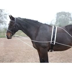 Shires Lunging Aid - Black -Equestrian Supply Store 553780 800 800