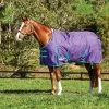 Weatherbeeta Comfitec Essential Standard Neck Heavy - Grape Purple/Blue 2 Weatherbeeta Comfitec Essential Standard Neck Heavy - Grape Purple/Blue -Equestrian Supply Store 580066 800 800