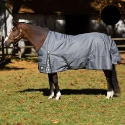 Equinavia Arktis Regular Neck Turnout Sheet - Carbon Gray
