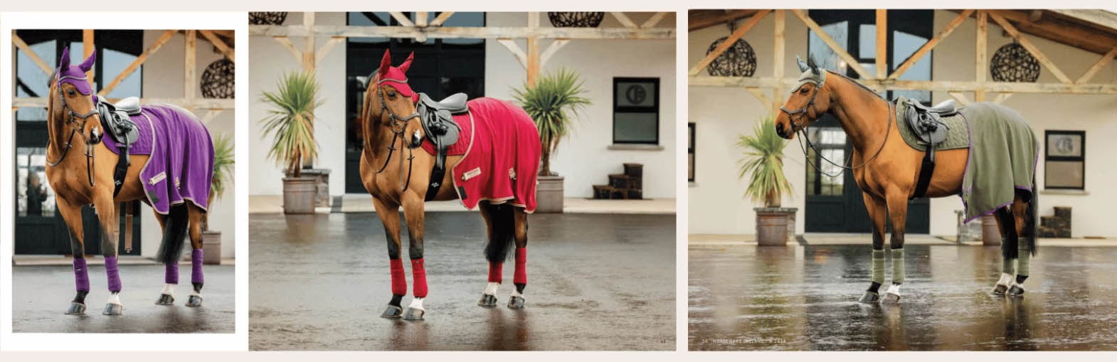 Equestrian Supply Store 4 Equestrian Supply Store -Equestrian Supply Store er